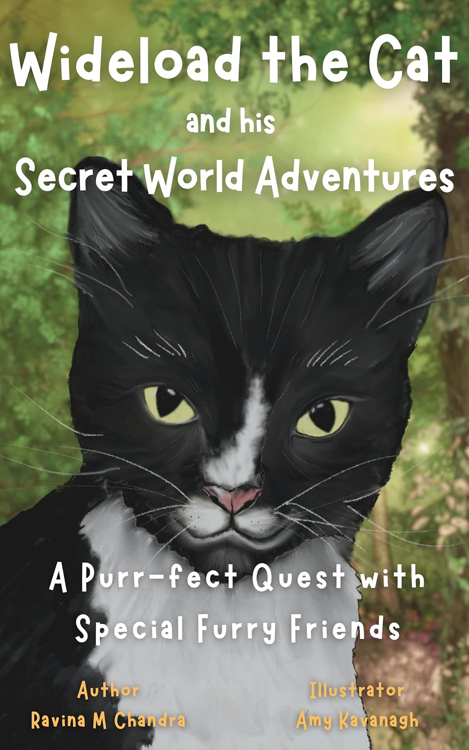 Wideload the Cat and His Secret World Adventures book cover